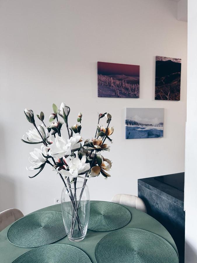 Loft Przy Placu Niepodleglosci Lägenhet Jelenia Góra Exteriör bild